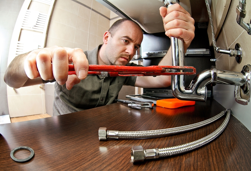 Unless the tenant has caused damage, maintenance work is the responsibility of the property's owner.