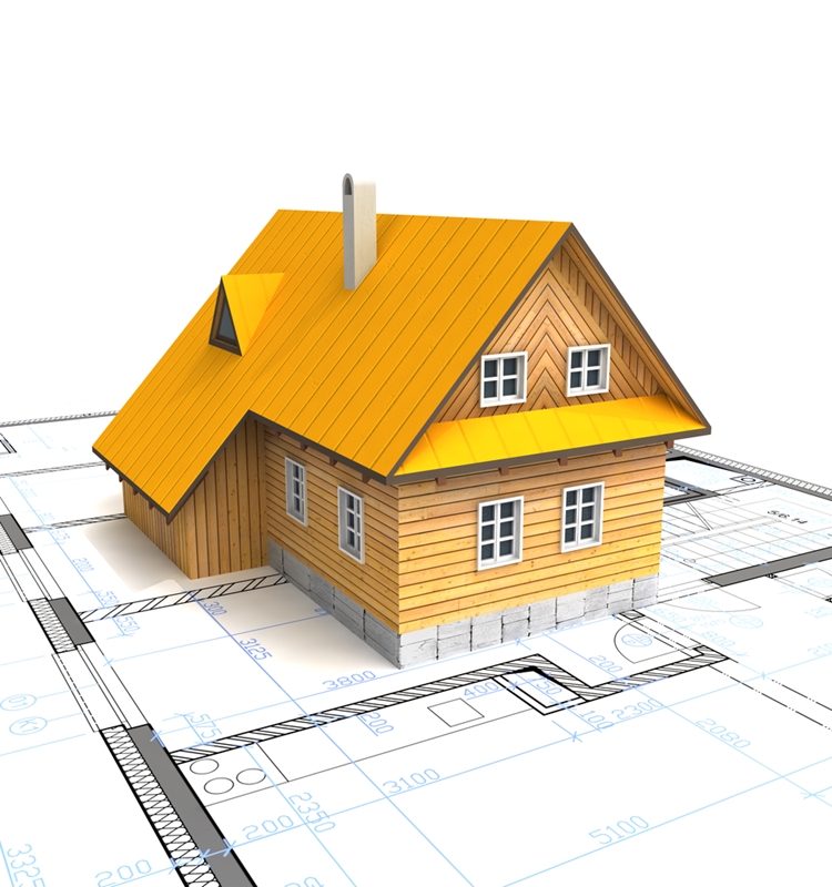 Home owners have more freedom to renovate than if they had an apartment.